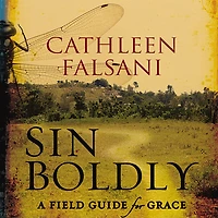Sin Boldly: A Field Guide for Grace