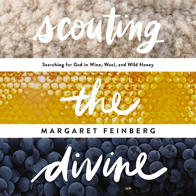 Scouting the Divine: Searching for God Wine, Wool, and Wild Honey