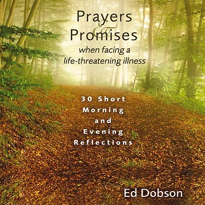 Oraciones y promesas: 30 reflexiones breves para mañana tarde