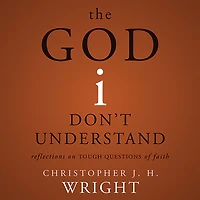 The God I Don't Understand: Reflections on Tough Questions of Faith