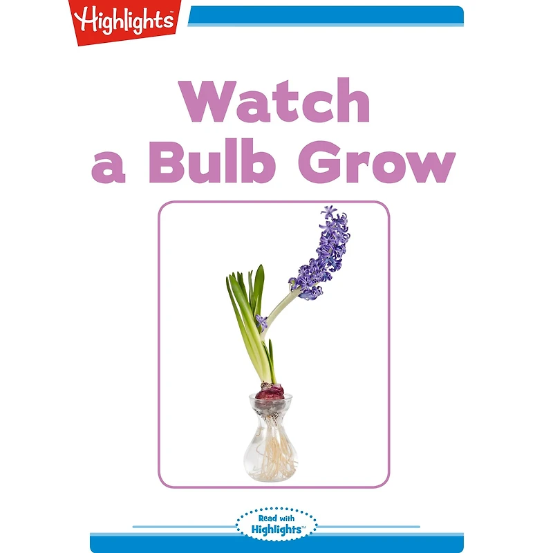Watch A Bulb Grow