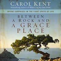 Between a Rock and Grace Place: Divine Surprises the Tight Spots of Life