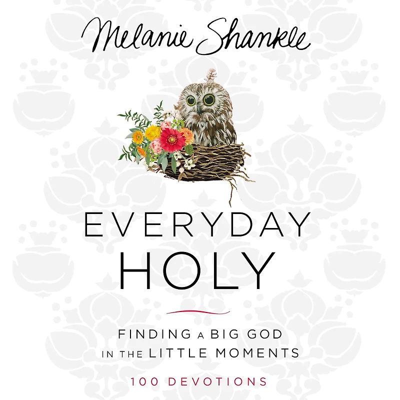 Everyday Holy: Finding a Big God the Little Moments (A 100-Day Devotional)