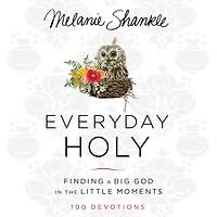 Everyday Holy: Finding a Big God the Little Moments (A 100-Day Devotional)