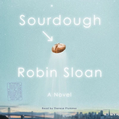 Sourdough; or, Lois and Her Adventures the Underground Market