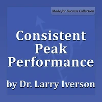Consistent Peak Performance: Practices of Professional Effectiveness