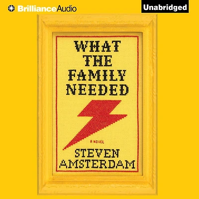 What the Family Needed: A Novel