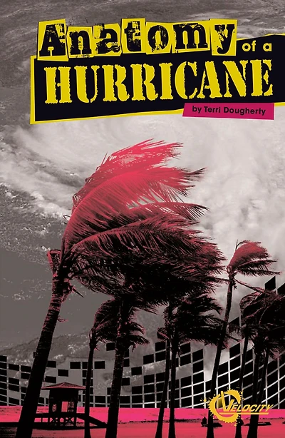 Anatomy of a Hurricane