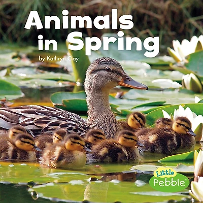 Animals Spring