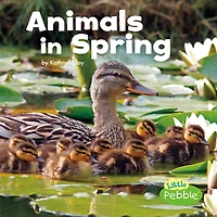 Animals Spring