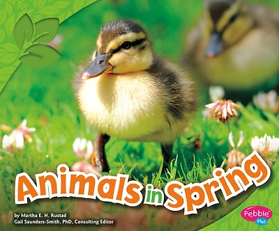 Animals Spring