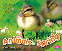 Animals Spring