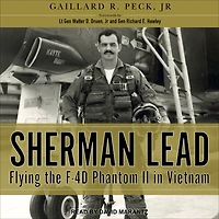 Sherman Lead: Flying the F-4D Phantom II Vietnam