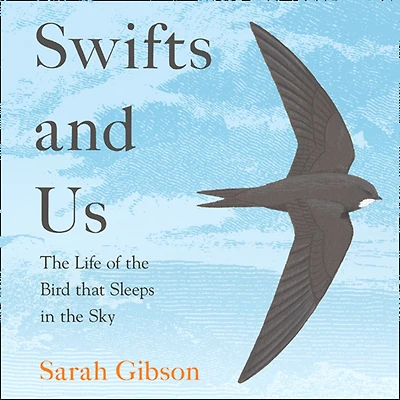Swifts and Us: the Life of Bird that Sleeps Sky