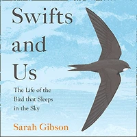 Swifts and Us: the Life of Bird that Sleeps Sky