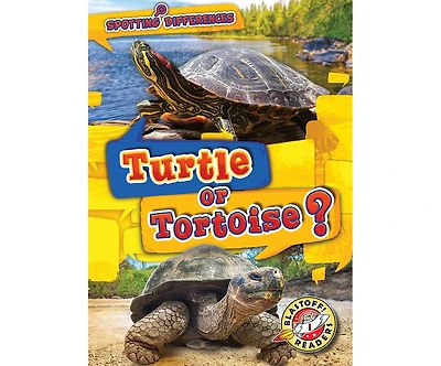 Turtle or Tortoise?