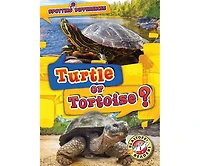 Turtle or Tortoise?