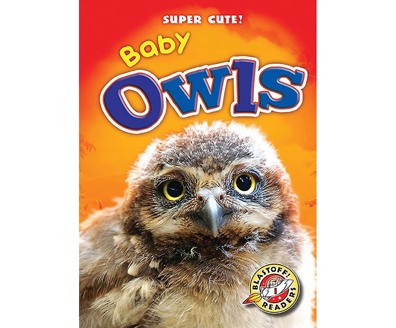 Baby Owls