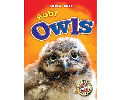 Baby Owls