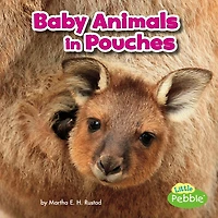Baby Animals Pouches