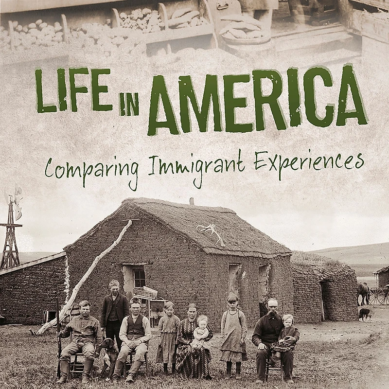 Life America: Comparing Immigrant Experiences