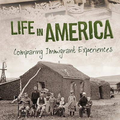 Life America: Comparing Immigrant Experiences