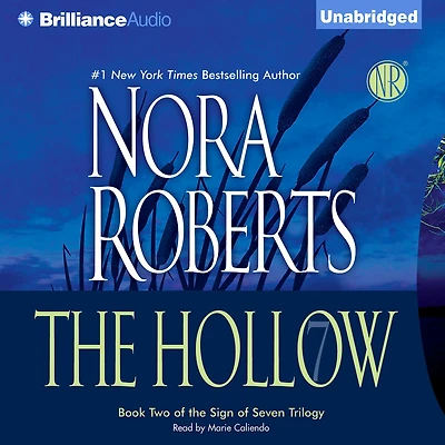 The Hollow (Sign of Seven Series #2)