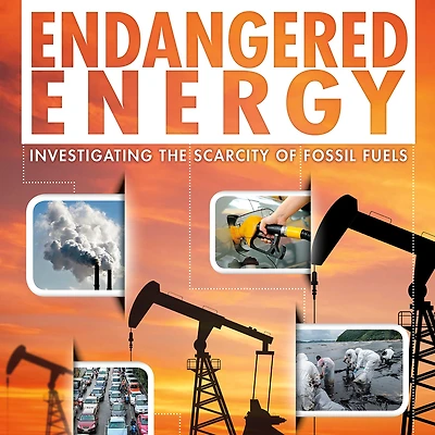 Endangered Energy: Investigating the Scarcity of Fossil Fuels