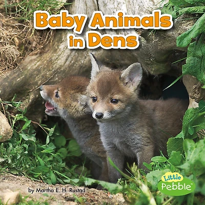 Baby Animals Dens