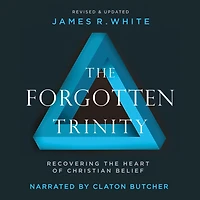 the Forgotten Trinity: Recovering Heart of Christian Belief