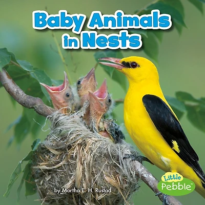 Baby Animals Nests