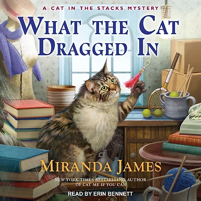 What the Cat Dragged (Cat Stacks Series #14)