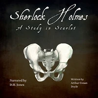 Sherlock Holmes: A Study Scarlet (WJS Classics Edition)