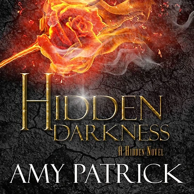 Hidden Darkness, Book 4 of the Saga