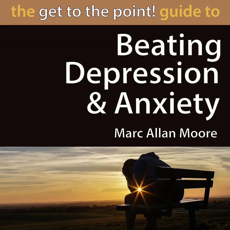 the Get to Point! Guide Beating Depression and Anxiety