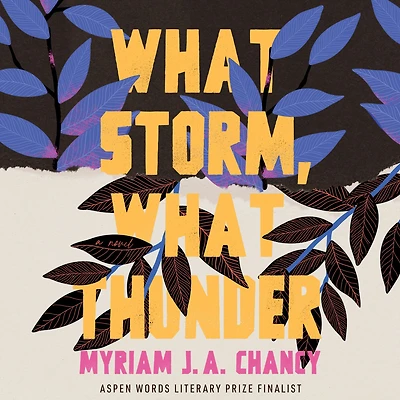 What Storm, Thunder