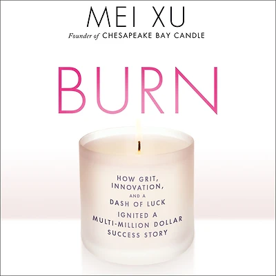 Burn: How Grit, Innovation, and a Dash of Luck Ignited Multi-Million Dollar Success Story