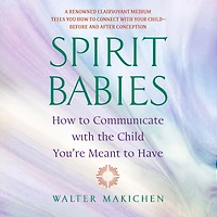 Spirit Babies: How to Communicate with the Child You're Meant Have