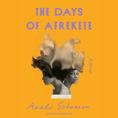 The Days of Afrekete: A Novel