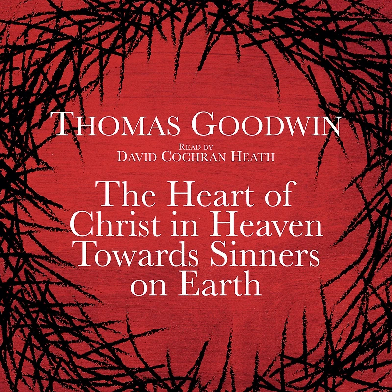 The Heart of Christ Heaven Towards Sinners on Earth
