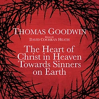 The Heart of Christ Heaven Towards Sinners on Earth