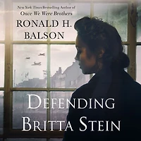Defending Britta Stein: A Novel