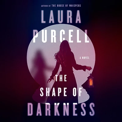 The Shape of Darkness: A Novel