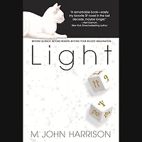 Light: A Novel