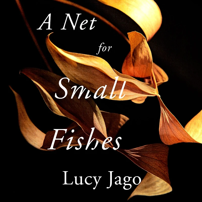A Net for Small Fishes: Novel