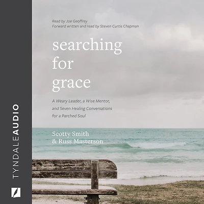 Searching for Grace: a Weary Leader, Wise Mentor, and Seven Healing Conversations Parched Soul
