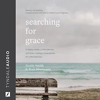 Searching for Grace: a Weary Leader, Wise Mentor, and Seven Healing Conversations Parched Soul