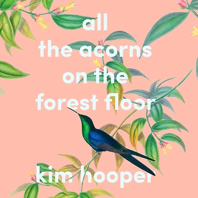 All the Acorns On Forest Floor