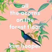 All the Acorns On Forest Floor