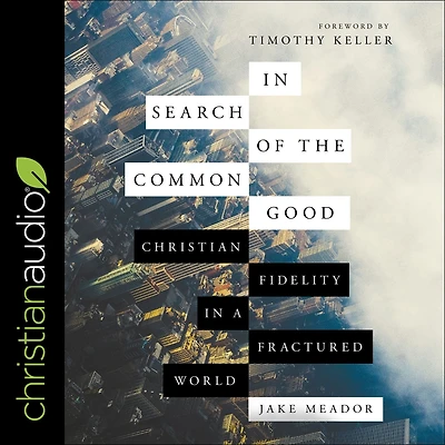 Search of the Common Good: Christian Fidelity a Fractured World